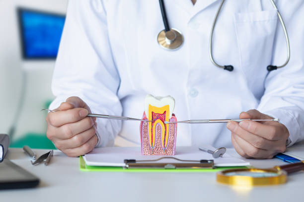 Best Emergency Dentist for Knocked-Out Tooth in Winchester, CA